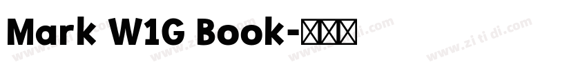 Mark W1G Book字体转换